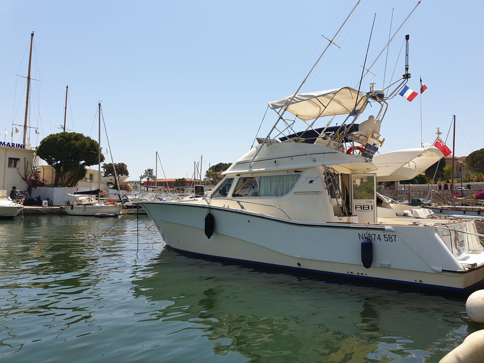Whale Watching and Sport Fishing — photo 2